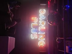 -Darling Queen·Mini·Live·House