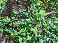 -中国铁路上海局集团有限公司杭州职工培训基地