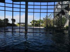 -上海滴水湖皇冠假日酒店