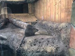 -杭州长乔极地海洋公园