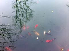 -尚贤河湿地
