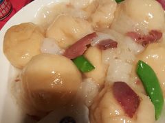 -席家花园(巨鹿花园店)