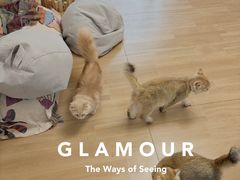 -唐小姐の私宠·宠物洗护美容·撸猫馆·购宠(周浦万达旗舰店)