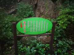 -大岭沟猕猴桃谷风景区