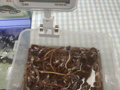 -盒马鲜生(岭南新世界店)