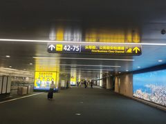 -青岛胶东国际机场