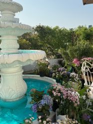 -WAVE SODA摄影工作室