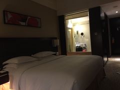 -上海浦东绿地铂骊酒店