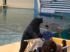 -秦皇岛乐岛海洋王国