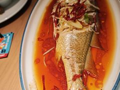 -波螺油子·海肠捞饭·青岛菜(银座店)