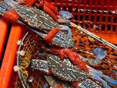 -巽寮印象美食部落餐厅·海鲜·地方特色菜(惠州体验店)