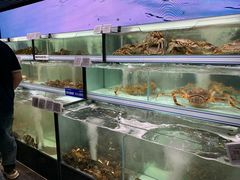 -胖东来生活广场(健康路店)