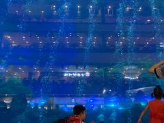 -成都浩海立方海洋公园