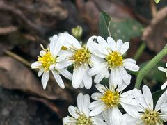 -宁波五龙潭景区