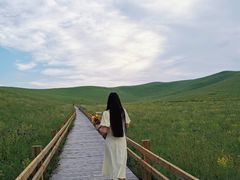 -乌拉盖芍药谷景区