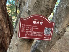 -华侨公园