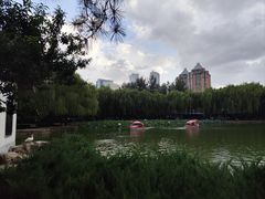 -团结湖公园