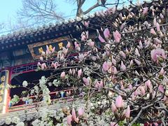 -潭柘寺景区