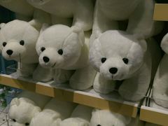 -多彩贵州城极地海洋世界