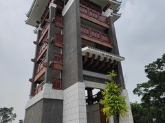 -王借岗森林公园