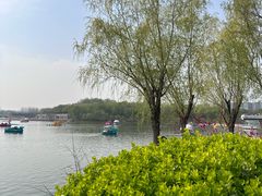 -大兴滨河森林公园