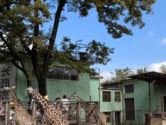 -昆明动物园