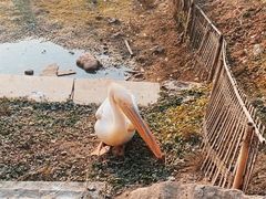 -黄龙溪欢乐田园
