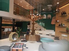 大堂-飞行喵MR PILOT|猫舍·猫咖(静安大融城店)