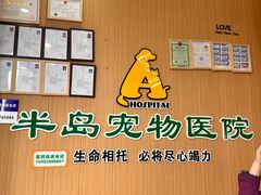 -半岛宠物医院24小时·内窥镜·牙科·碎石中心(府城大道店)