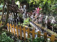 -呀路古热带植物园