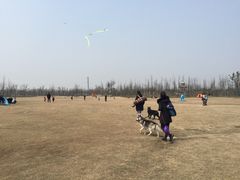 -上海长兴岛郊野公园