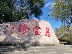 -珍宝岛