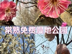 -南湖湿地公园