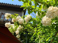 -三嚥阁 La Villa Restaurant
