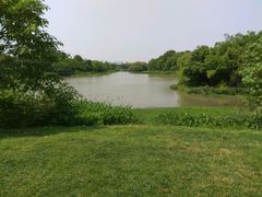 -艾溪湖湿地公园