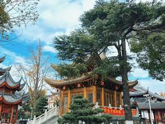 -上海东林寺(金山区)