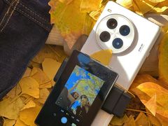 -三里屯东五街银杏大道