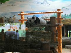 -西霞口神雕山野生动物世界