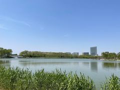 -大兴滨河森林公园