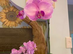 -Rabbit Cafe私房西餐甜点咖啡(栖霞路店)