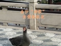 -杭州西子湖四季酒店-WL BISTRO西湖餐厅(灵隐路店)