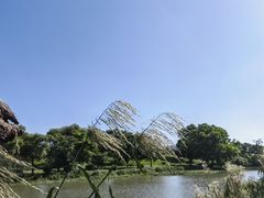 -鹤之洲湿地公园