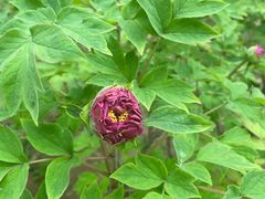 -仁和公园(顺义区)