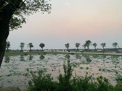 -滆湖低碳生态公园
