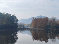 -长广溪湿地公园