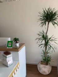 -美肌工坊皮肤管理