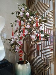 -厦门美莱整形美容医院