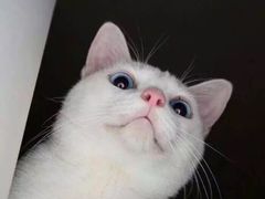 -欢乐季(南城店)