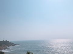 -广东惠东海龟国家级自然保护区
