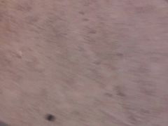 -金狮饼店(关闸马路店)